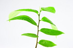 物理隔离的视觉化解读：一张图看懂